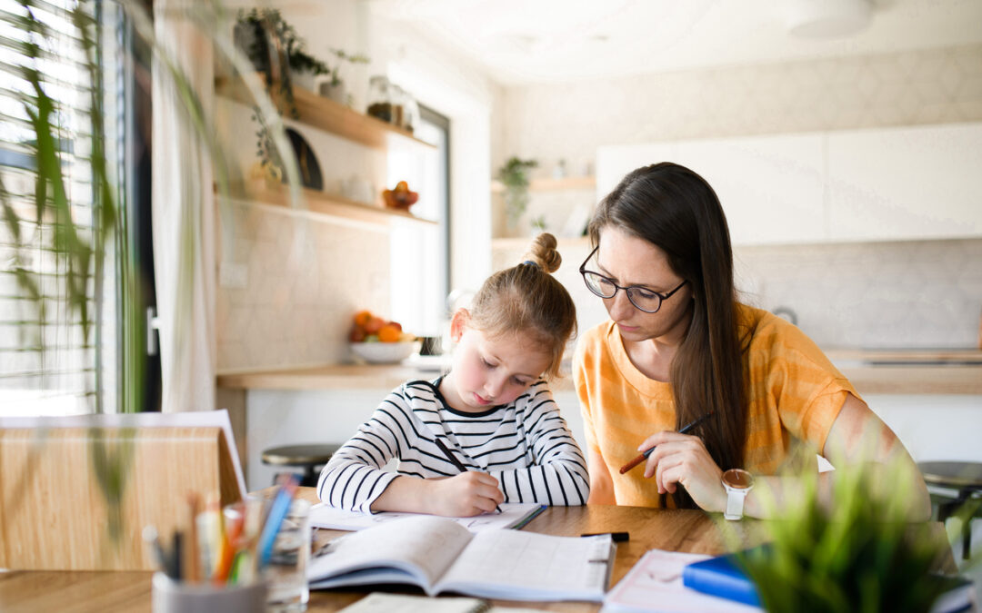 Why Should You Homeschool? 